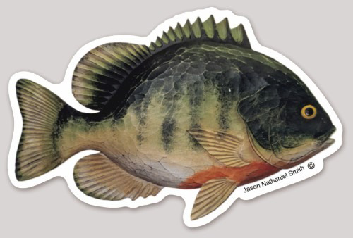Bluegill Sticker