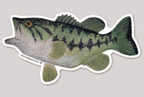 Largemouth Bass Sticker