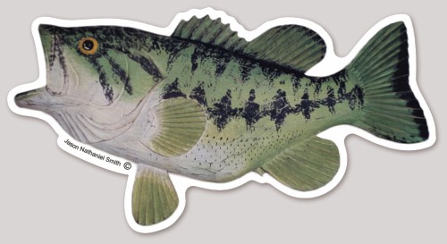 Largemouth Bass Sticker